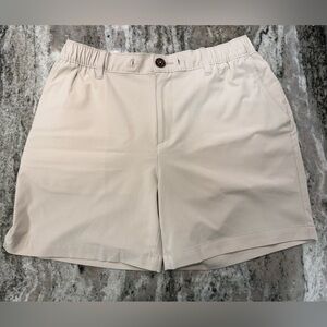 Men’s chubbies 6” shorts size large
